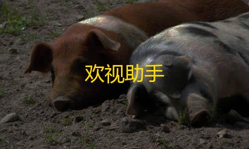 暗区突围透视物资欢视助手